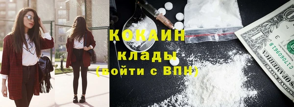 apvp Алзамай