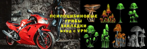 apvp Алзамай