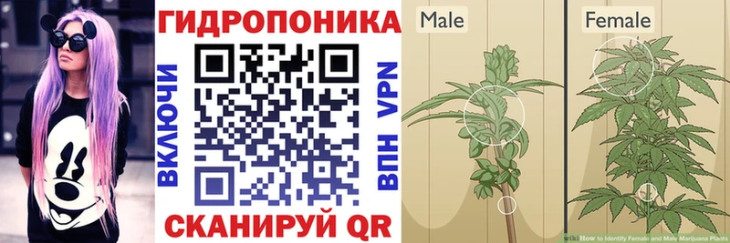 Шишки марихуана Ganja  дарнет шоп  Струнино 